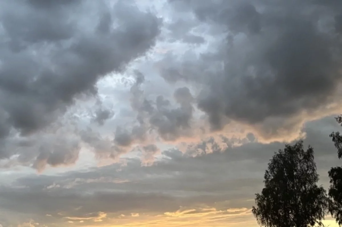 В Рязанской области сбили шесть БПЛА