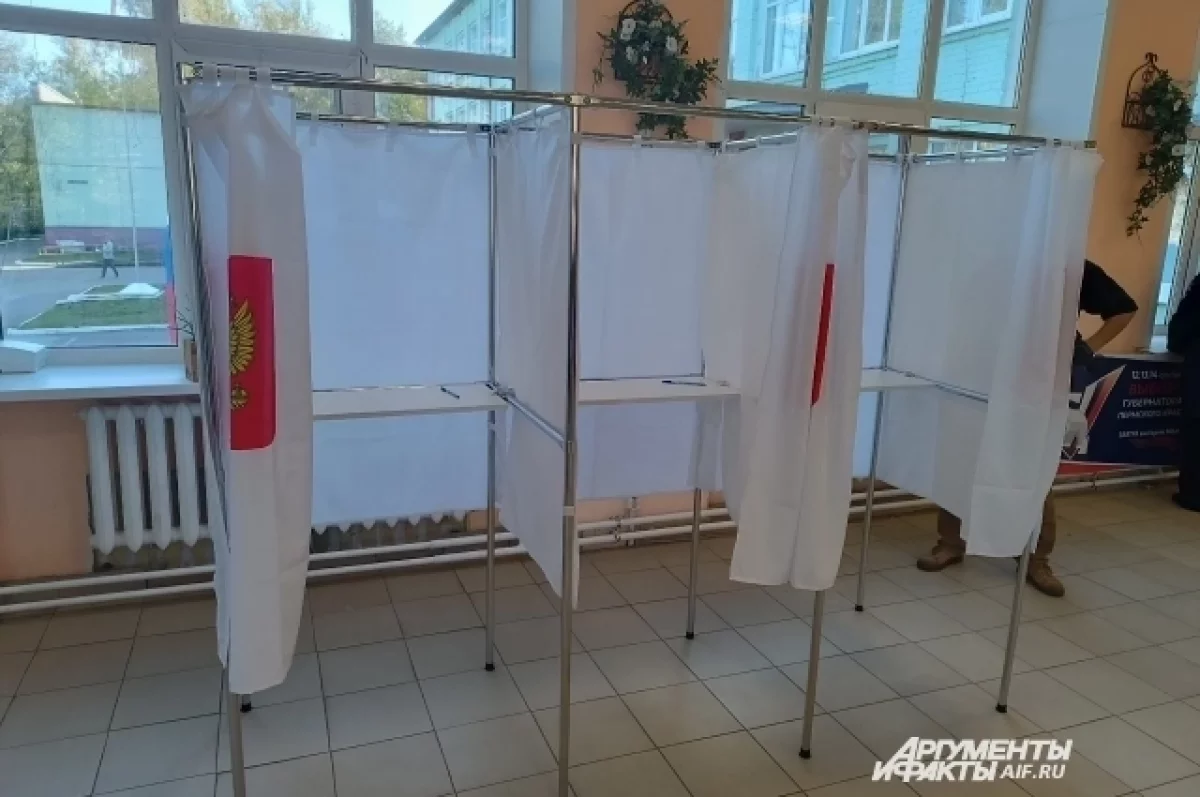 Адвокат Петров напомнил об ответственности за порчу бюллетеней на выборах