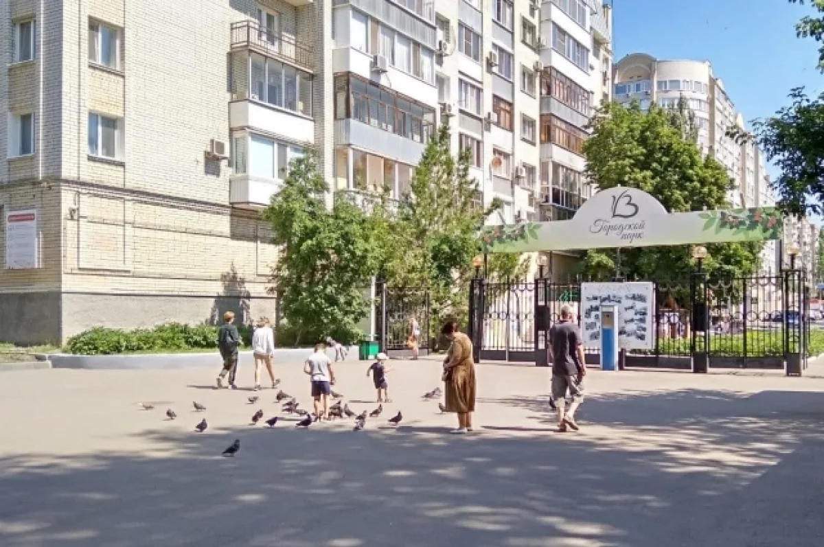 В горпарке Саратова высадят более 100 молодых дубов в сентябре