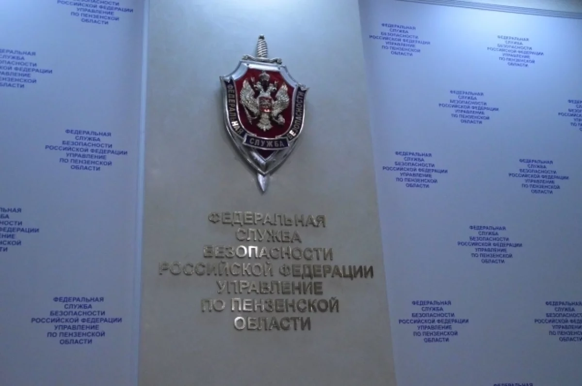 На 8,5 лет осудили жителя Пензенской области за содействие терроризму