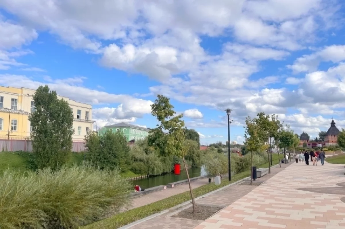 В День выборов в Тульской области сбили два украинских БПЛА