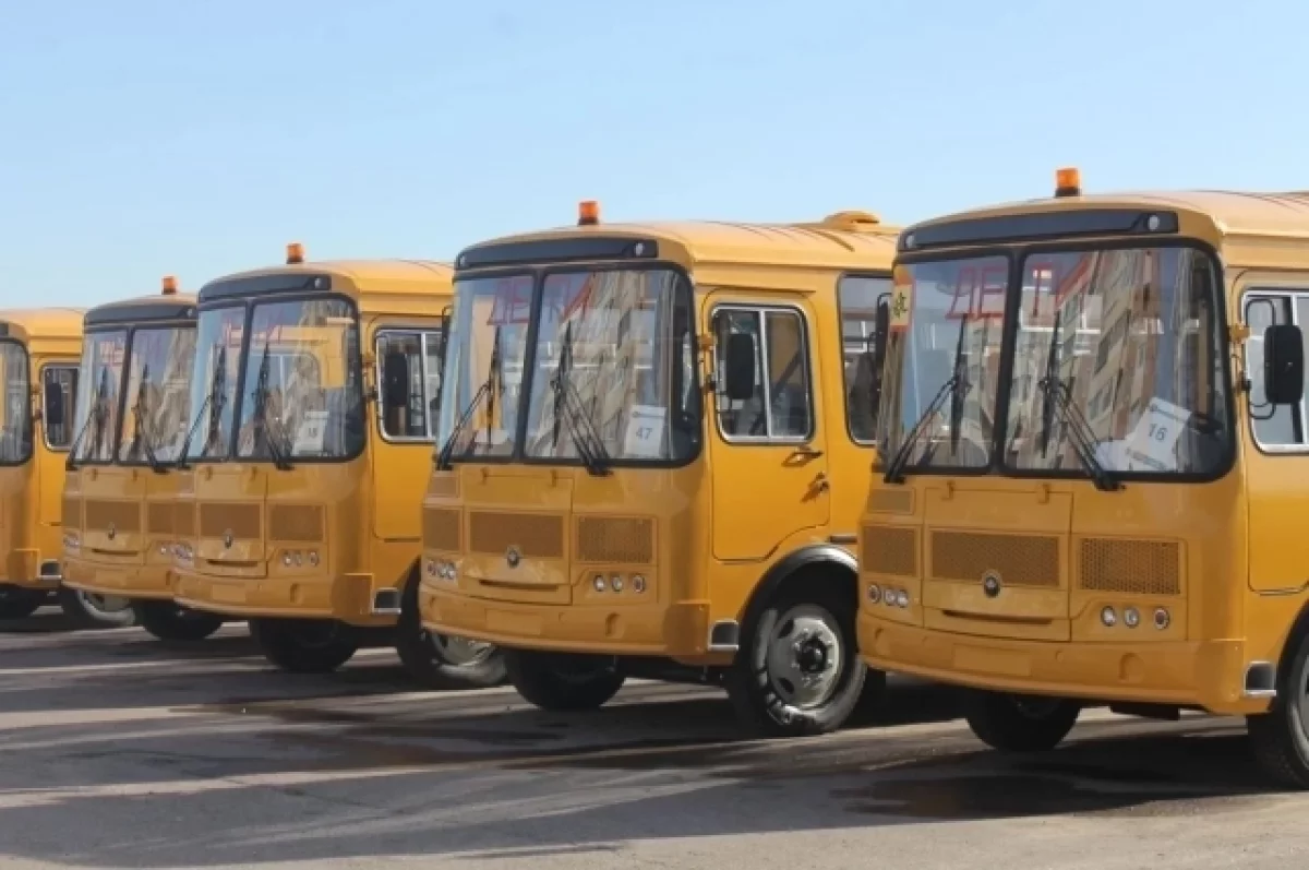 35 новых школьных автобусов должны поступить в Пензу в 2026 году