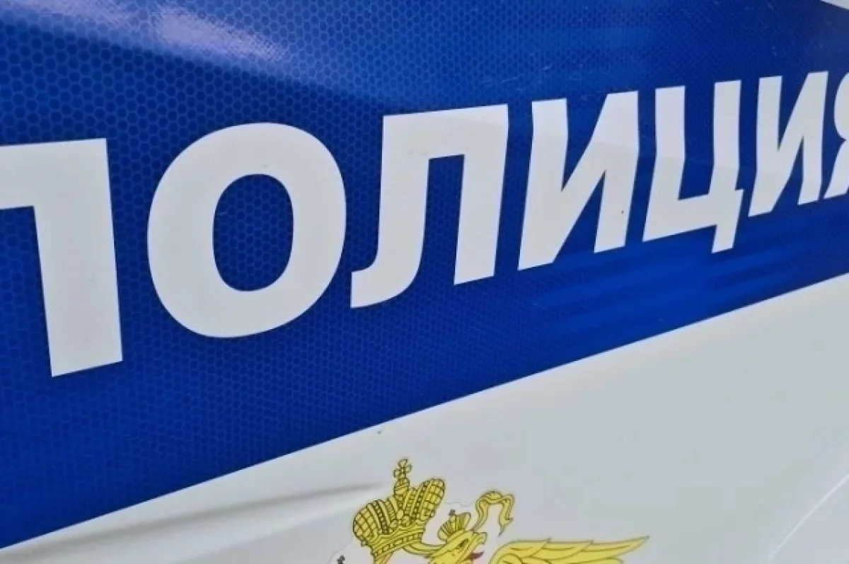 114 уголовных дел завели после миграционных проверок в Ульяновской области