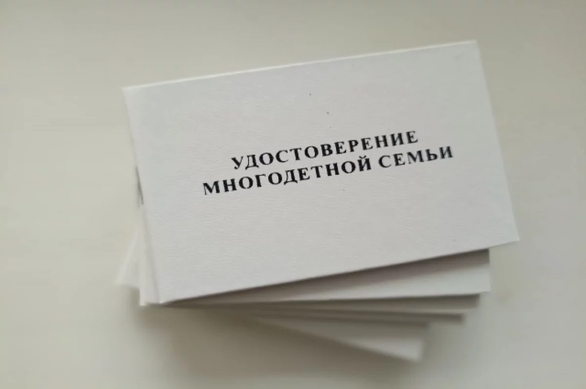 В Томской области впервые отметят День многодетной семьи
