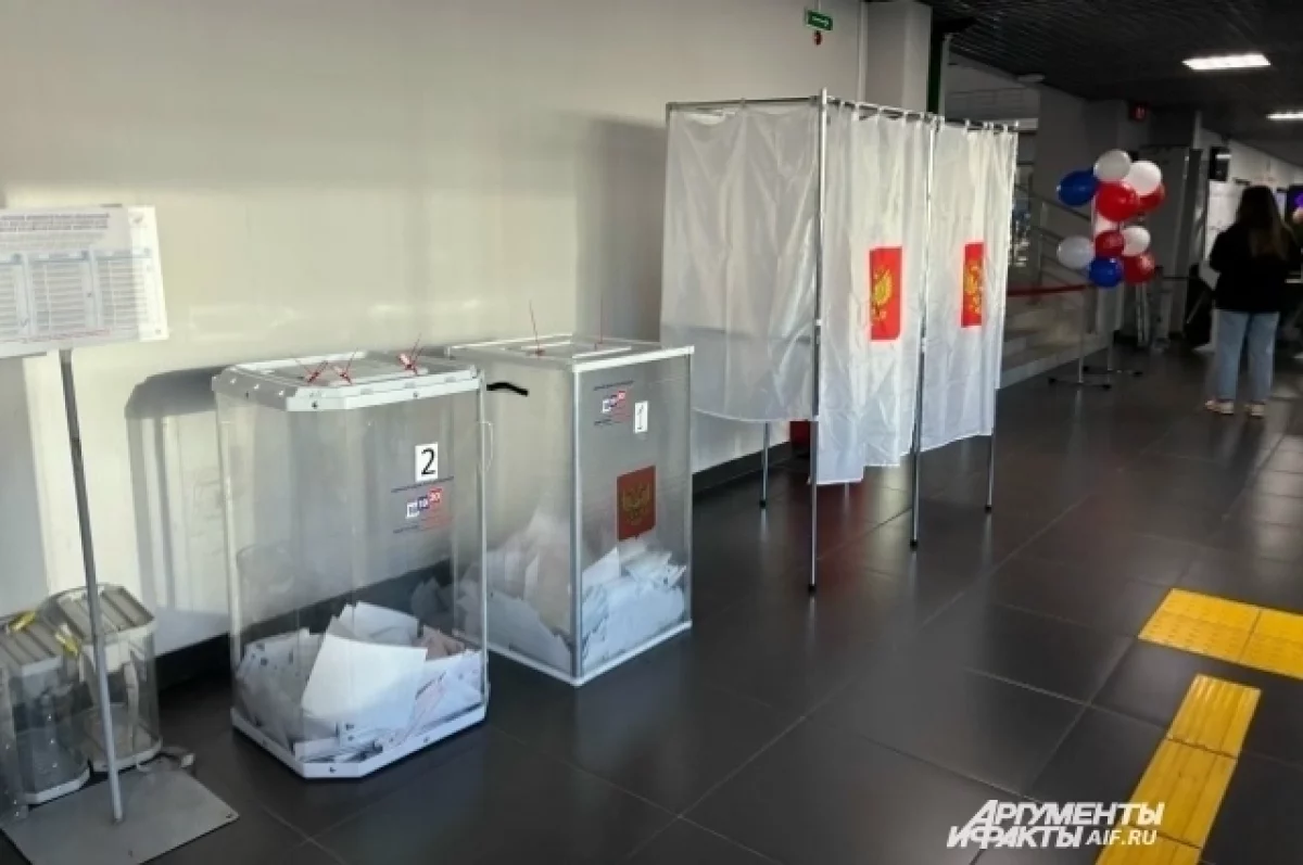 На избирательном участке в Петербурге возник спор из-за сейф-пакетов