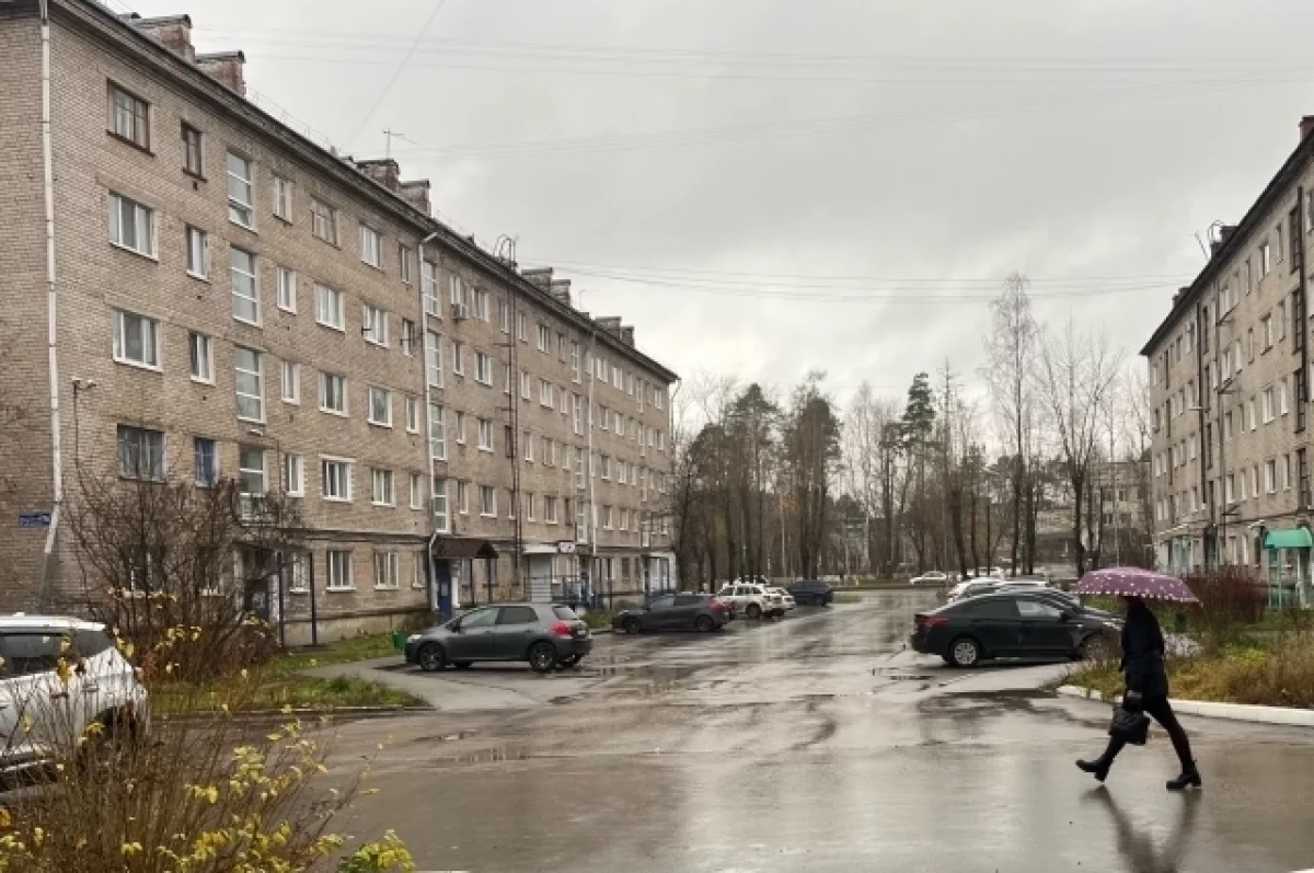 Карелия останется во власти циклонов: дождливая неделя будет теплее нормы