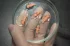 c5be25b132472af13d329daee1192846.webp