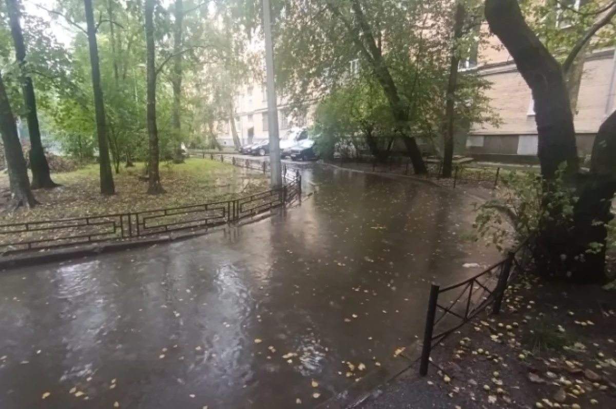 В воскресенье Калининградскую область ждут дожди и сильный ветер