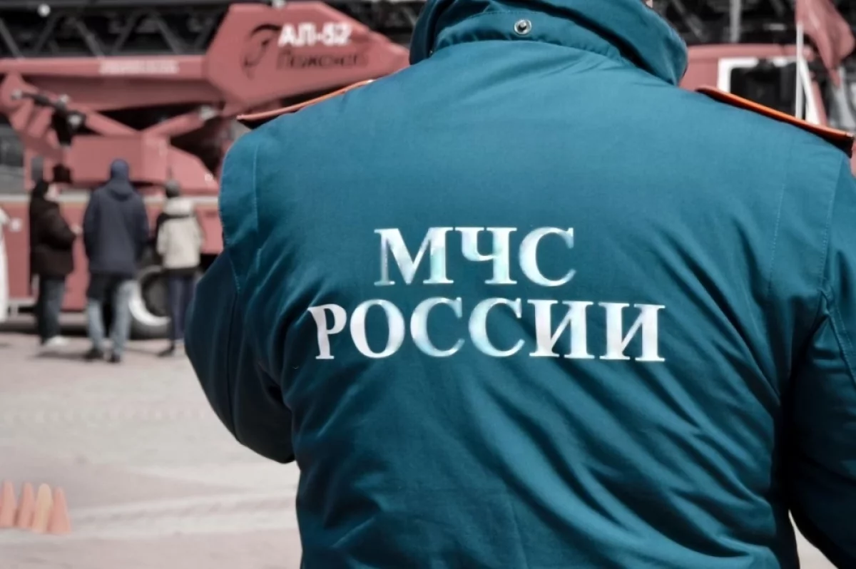 Пожар повредил 24 гаража в Томске