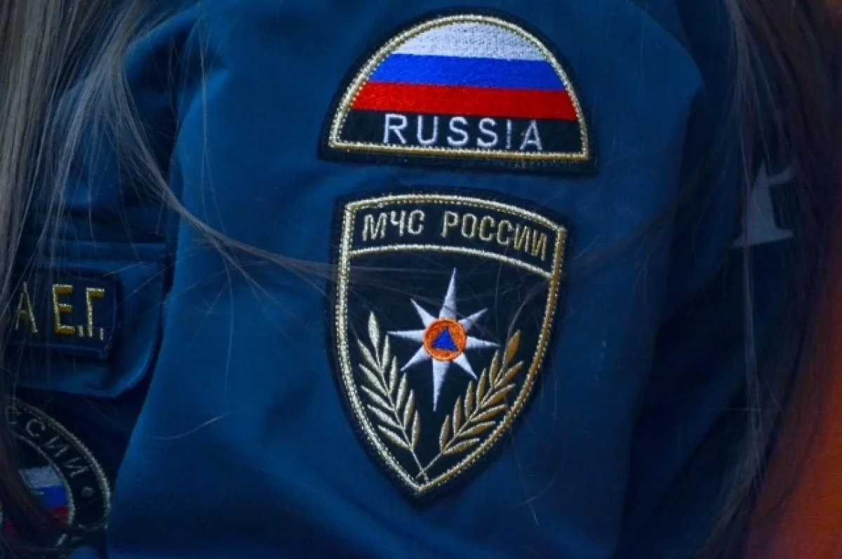 МЧС сообщило о трех пожарах в Тульской области за сутки