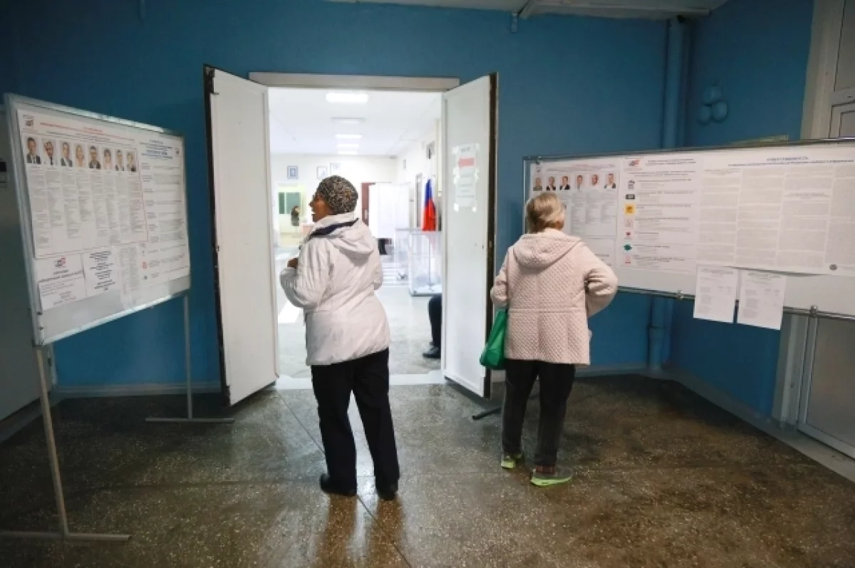 Явка на выборах в Алтайском крае составила больше 35%