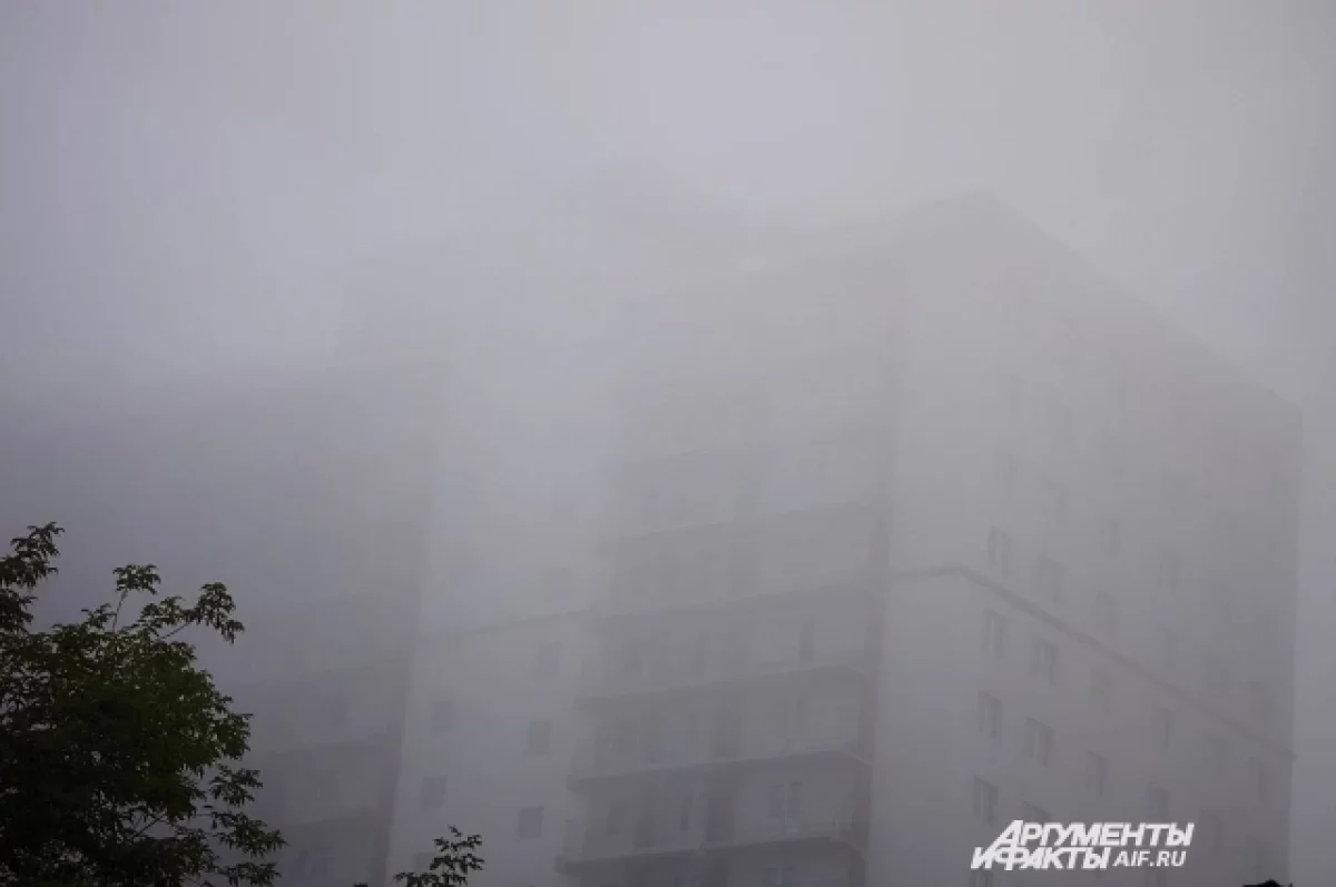 Туман ожидается в Тольятти ночью и утром 21 сентября