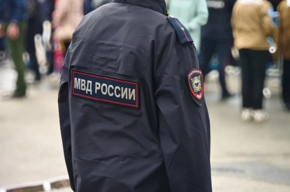 На Алтае представители партии блокировали машину для выездного голосования