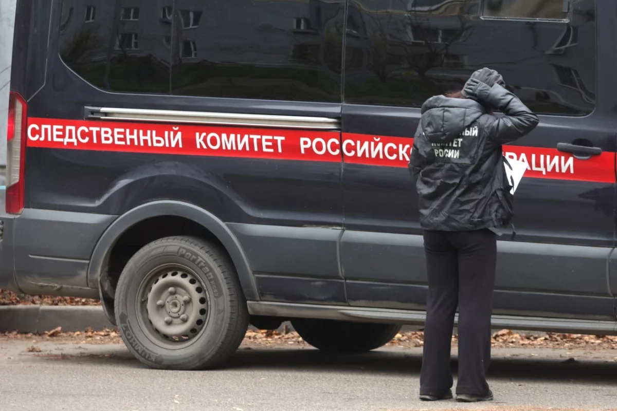 Следователи начали расследование после драки детей в центре «Борки»