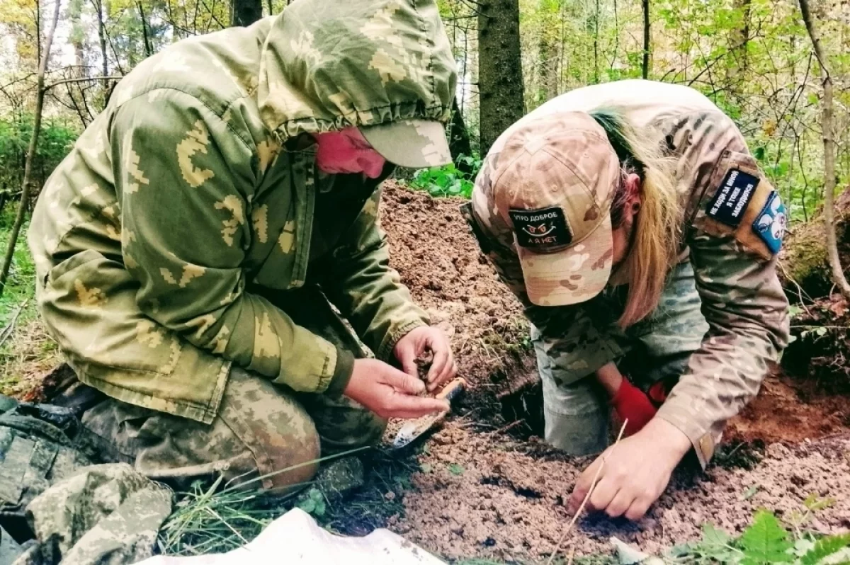В еловом лесу Ржевского округа нашли останки двух красноармейцев