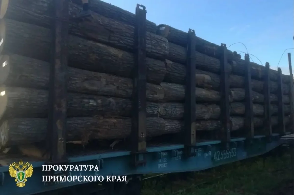 Жительницу Приморья будут судить за контрабанду леса на 13 млн рублей