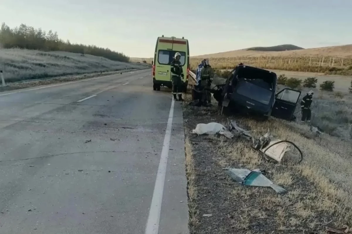Легковой автомобиль врезался в большегруз в Борзе — погиб человек