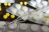 c2f183bbee2d61aa78ee30efc3cbf9ba.webp