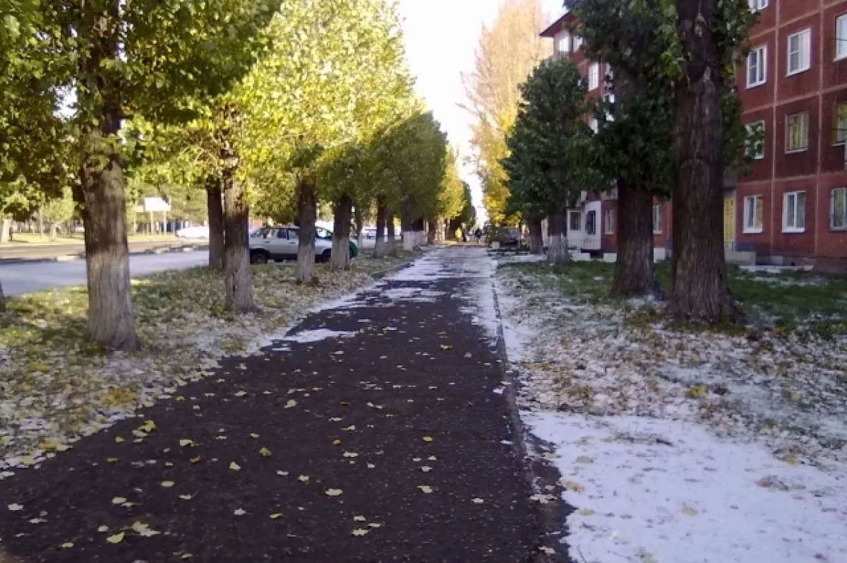 Первый снег ожидают в сентябре в Алтайском крае