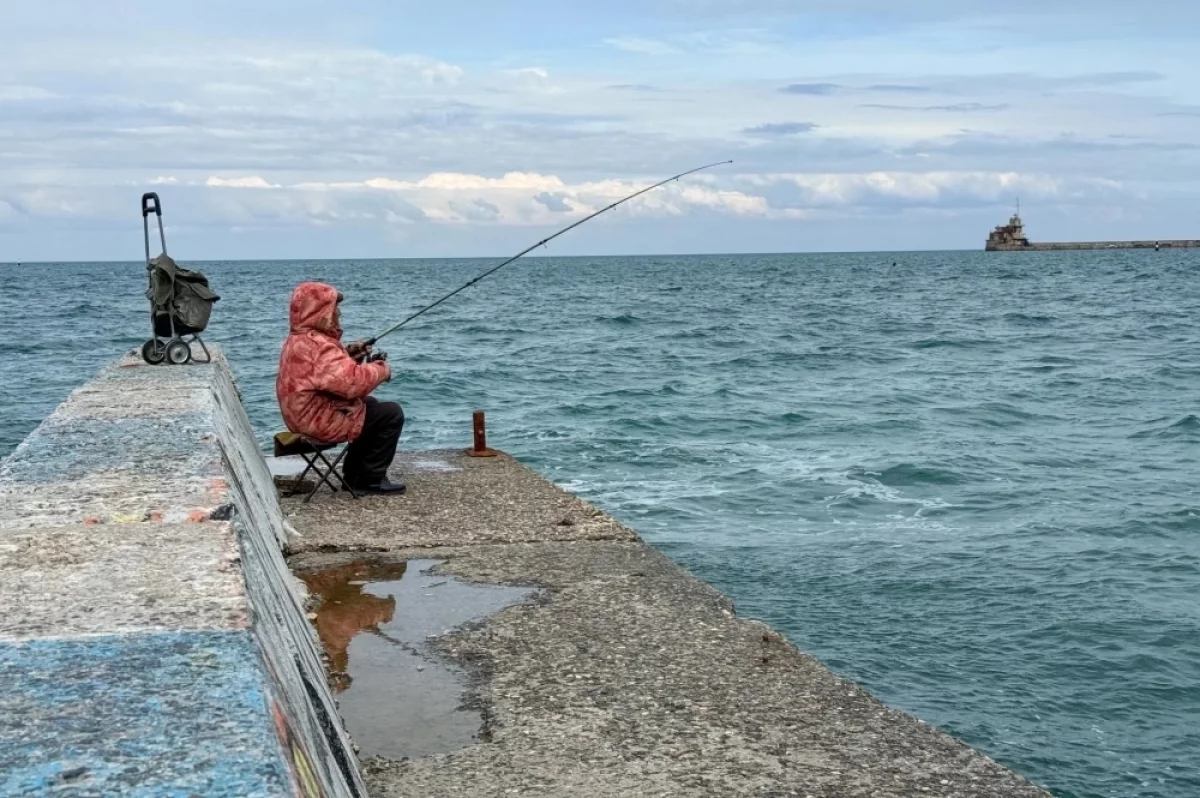 Азовское море солонеет: хамса, бычки и медузы вместо леща
