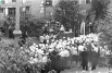 Посвящение в студенты Пермского медицинского института, 1967 год.