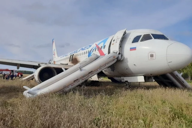 Самолёт в поле. Осень 2023 года. Сегодня о той посадке ничего не напоминает. Самолёт разобран, в поле собирают новый урожай