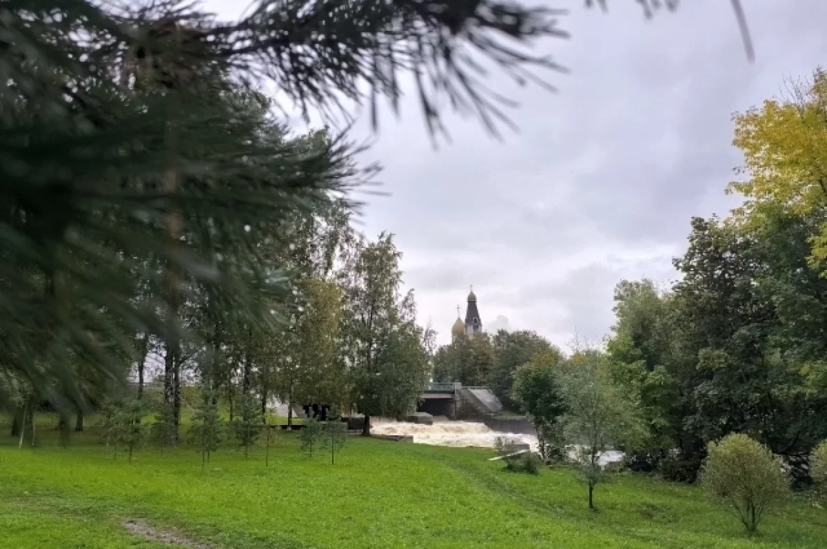 Именем Людмилы Чурсиной назовут сквер в Сестрорецке