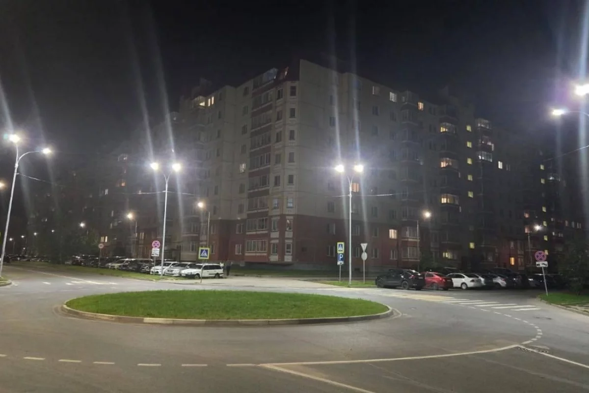 В Пскове до конца года зажгут освещение на улице Николая Васильева