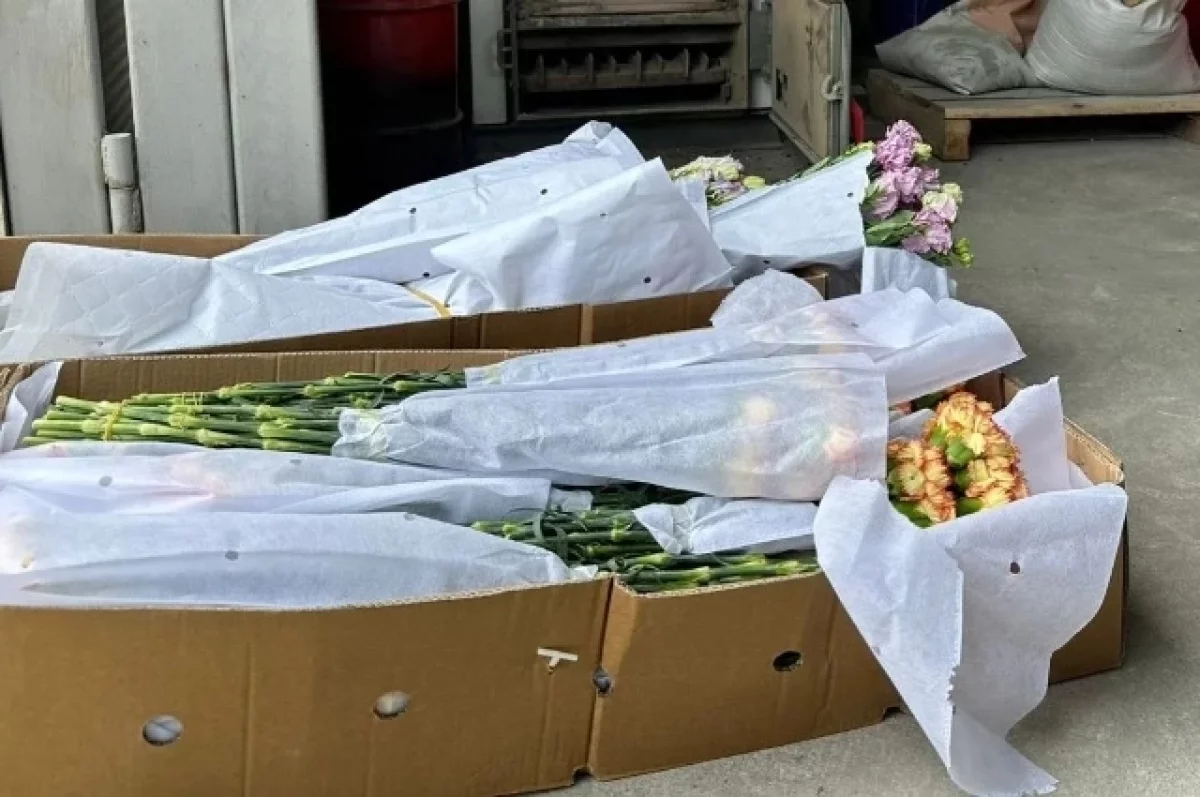 В Калининградскую область не пустили 1,9 тысячи зараженных цветов