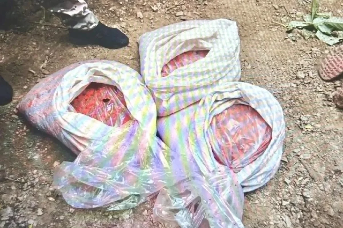 Ущерб 2,1 млн: три сахалинца пойдут под суд за незаконный вылов горбуши