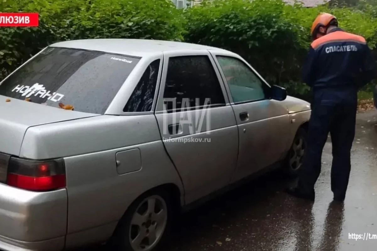 Мужчину госпитализировали после наезда авто в Великолукском районе