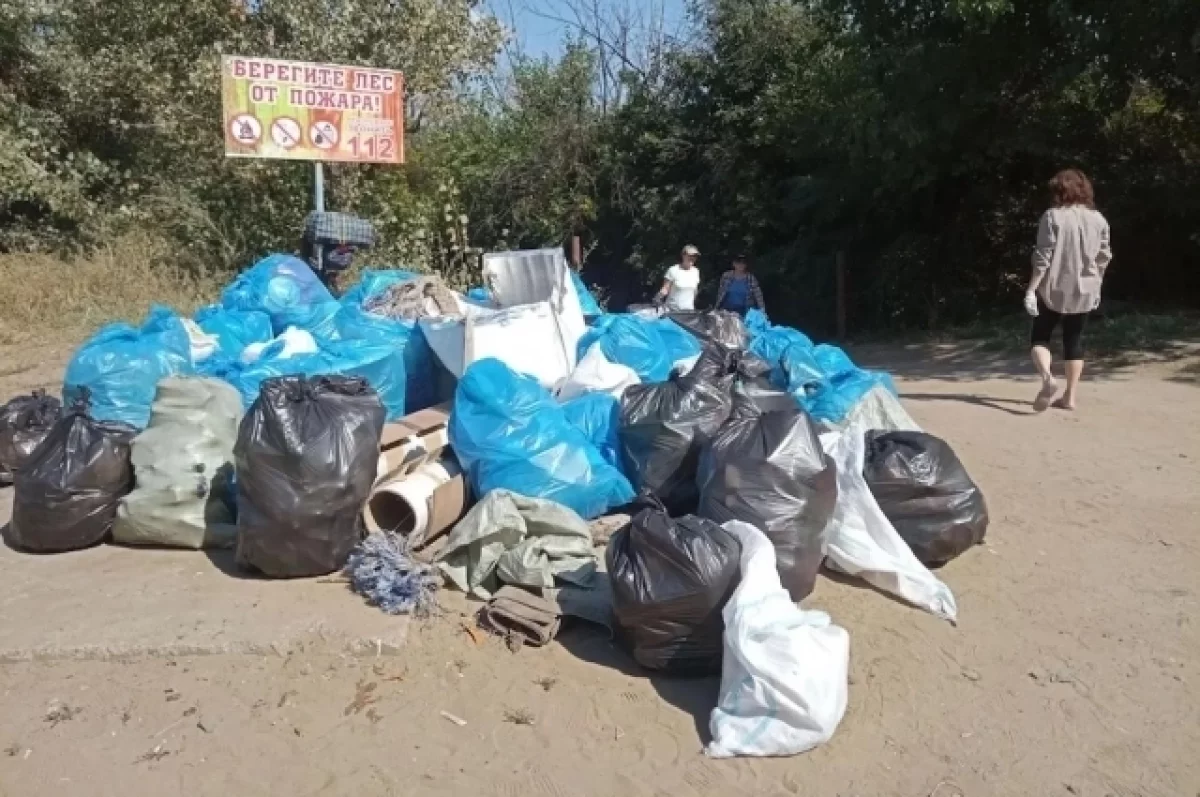 «ЭкоЦентр» и волонтеры очистили пляж на Городском острове в Астрахани