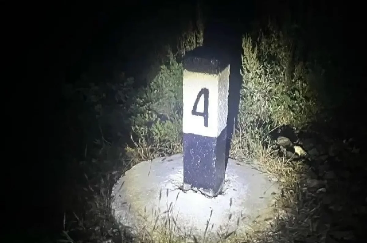 Мужчина погиб под колёсами поезда на Алтае