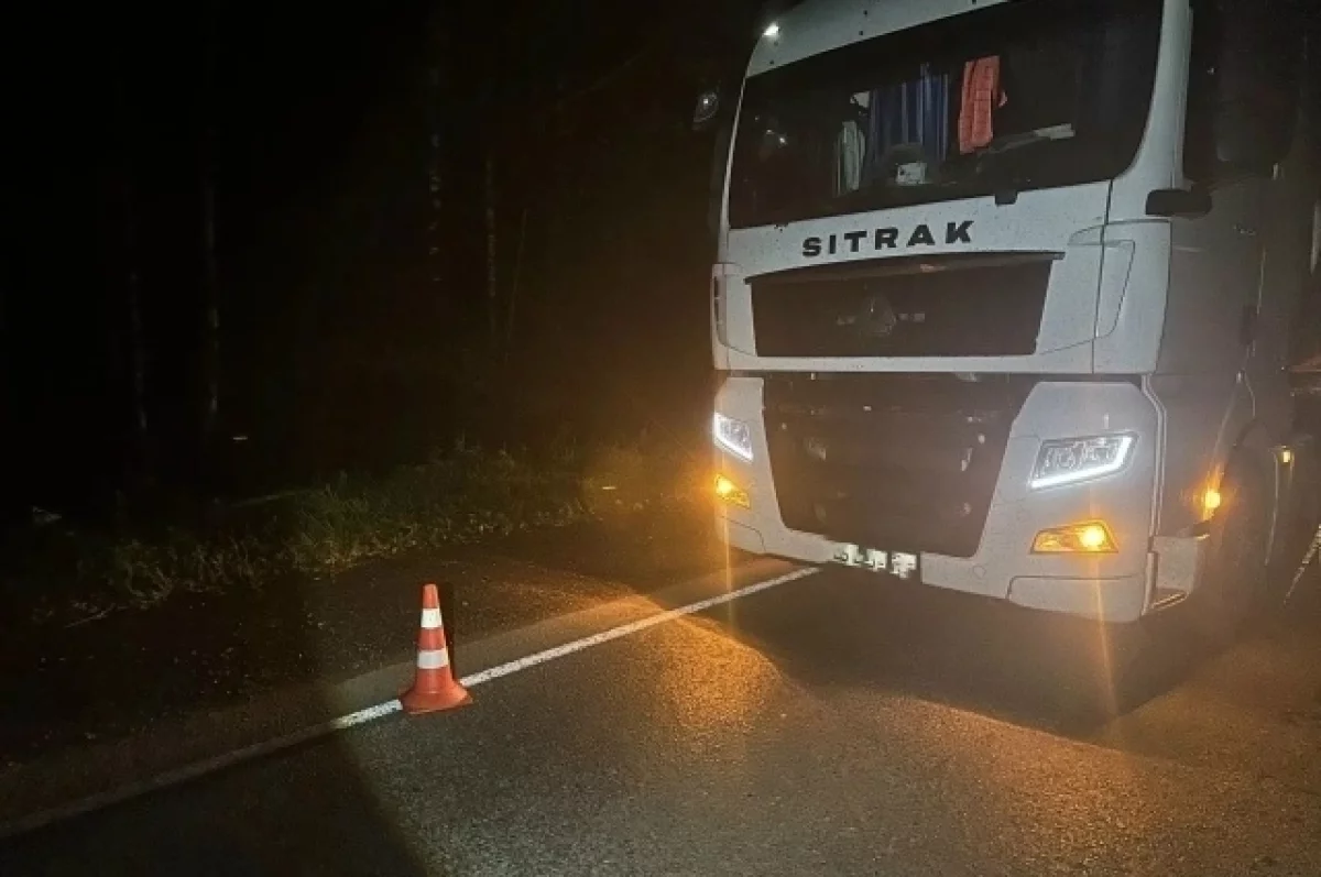 В Удмуртии скончался велосипедист, пострадавший под колёсами фуры