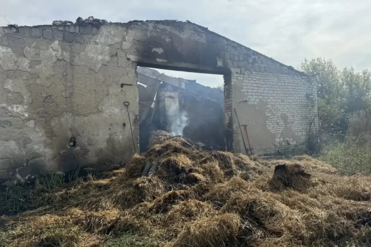 Погибшими при пожаре в Тамалинском районе под Пензой оказались мужчины