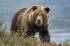 c94b71de3555b086681cb3c76a41c784.webp