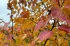 fc7b0075ca5a7fae9363b88966ba71ee.webp