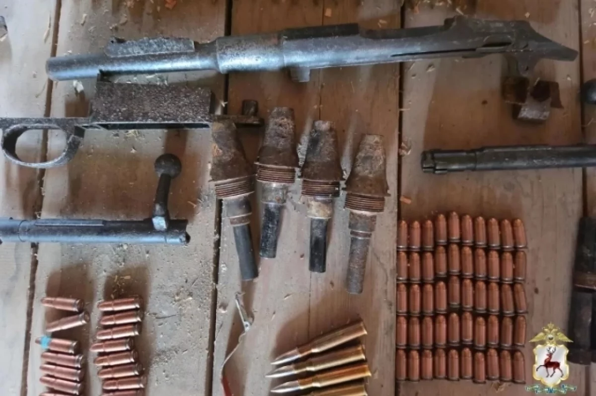 452 боеприпаса и 21 огнестрельное оружие изъяли в Нижегородской области