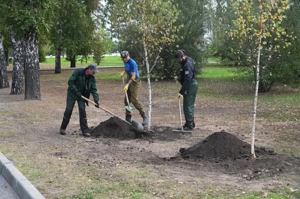 В Нагорном парке Барнаула высадили новые деревья