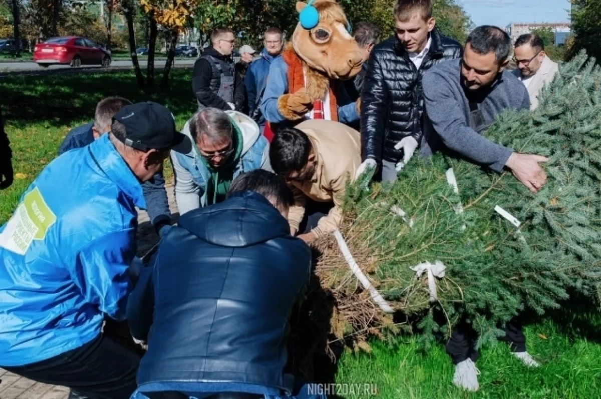 Челябинцев приглашают на высадку деревьев на Аллее Героев