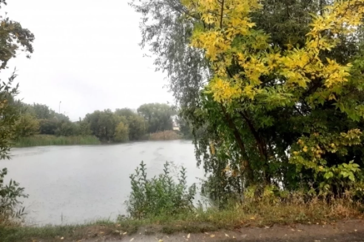 В конце недели на Белгородчине существенных осадков не предвидится