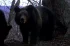 329c8afd6a136f3f144745796669b981.webp