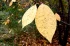 c8689e89727a2350df4fff03849adab0.webp