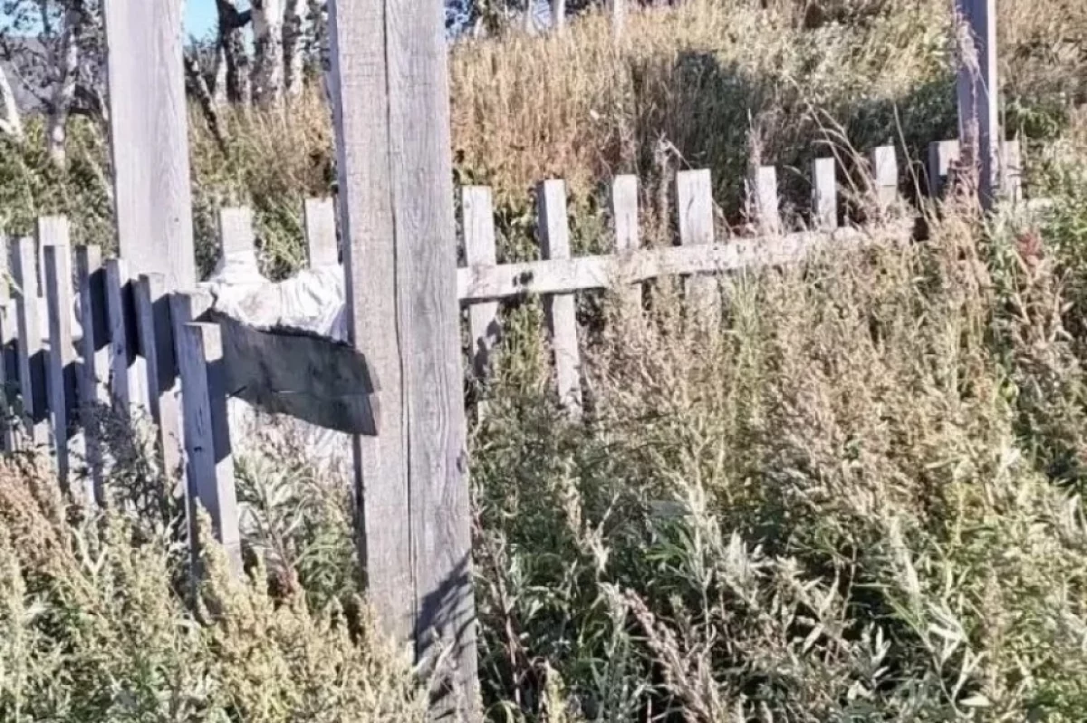 Опасные скотомогильники с нарушениями нашли на Камчатке