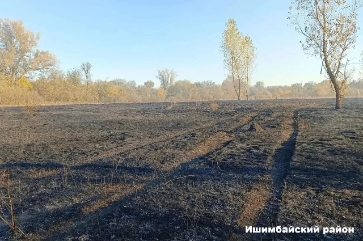 Сухая трава загорелась в пяти районах Башкирии