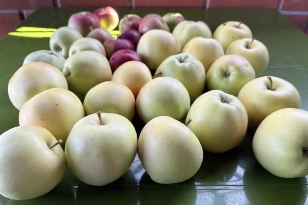 В Ульяновске на сельхозярмарке свою продукцию представили все районы