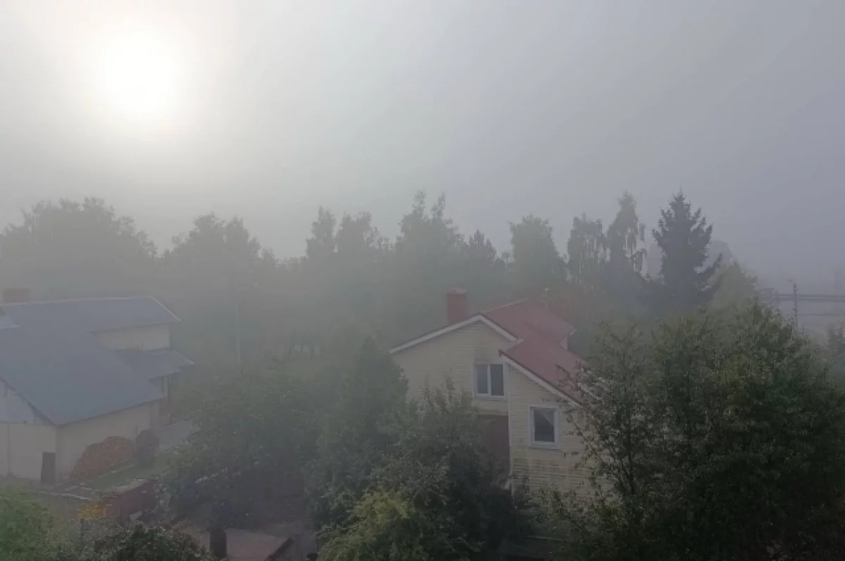 Тульскую область затянуло плотным туманом