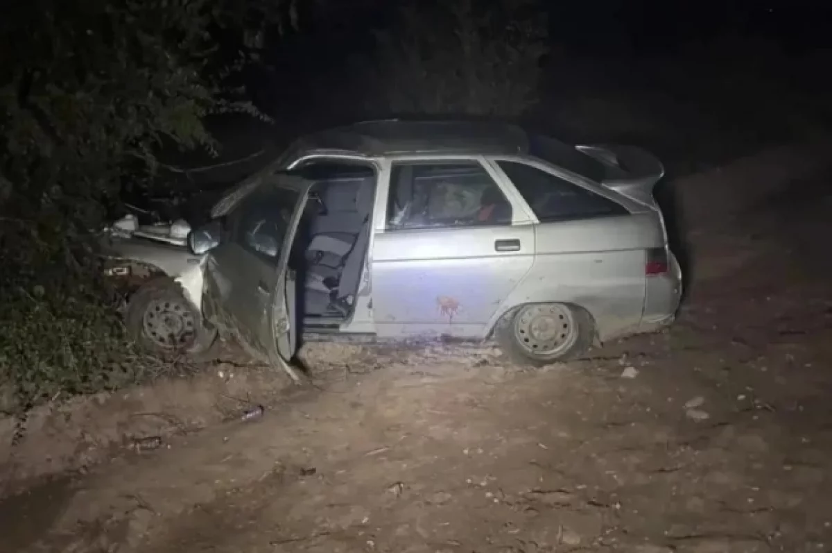 Семилетняя девочка попала в больницу после ДТП с коровой под Астраханью