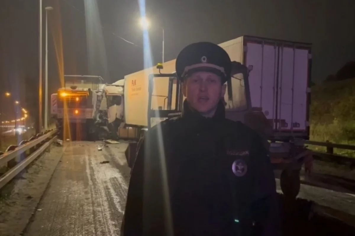 Трудовая инспекция заинтересовалась смертельным ДТП на Борском мосту