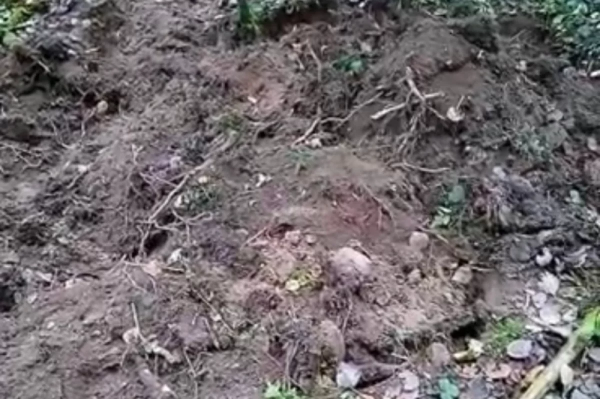 В Ржевском округе поисковики обнаружили останки советского солдата